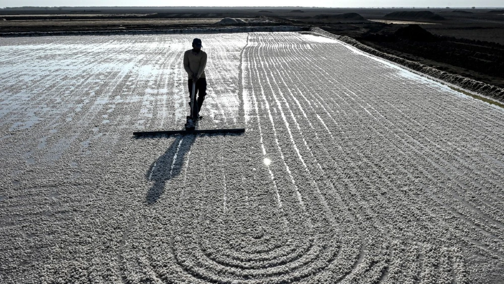 No trees, no fans: Surviving extreme heat in India's salt pans
